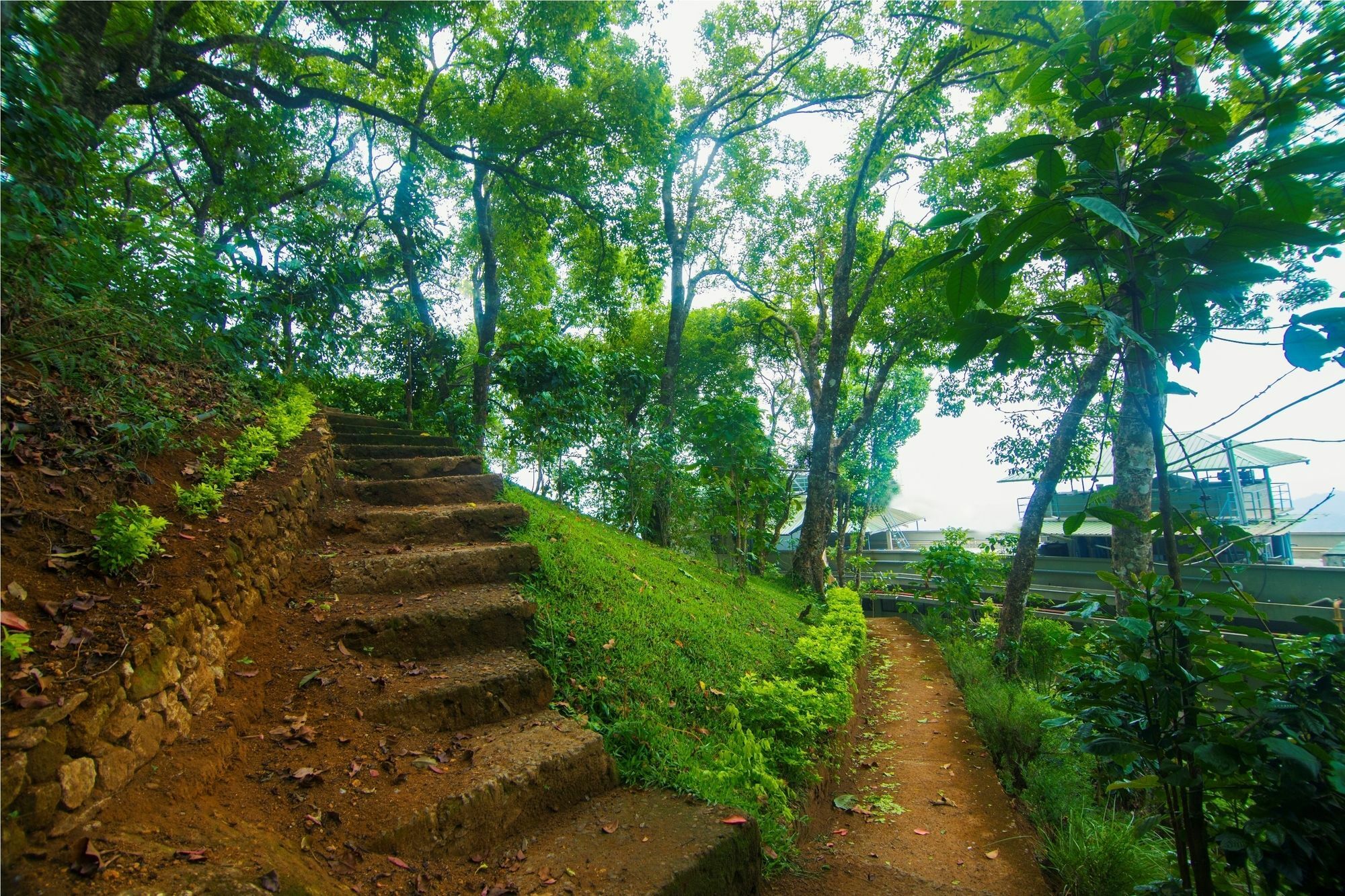 Forest Glade Resorts Chithirapuram Dış mekan fotoğraf